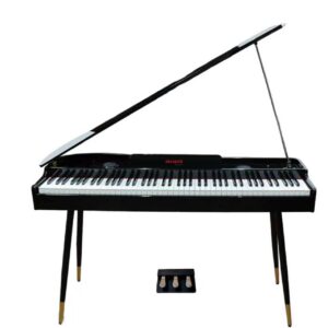 AIWA Digital Piano 88 Key Hammer Action - AWAG88